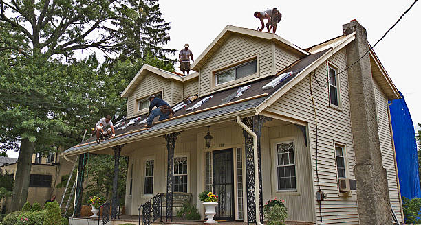 Roof Gutter Cleaning in St Matthews, KY